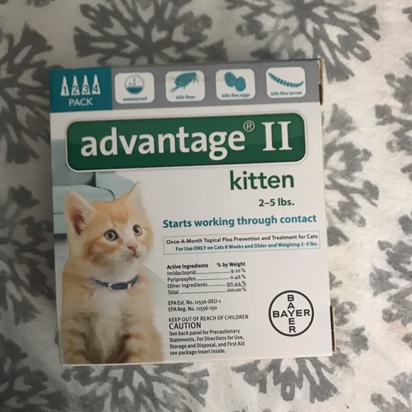 Other - Kitten flea treatment